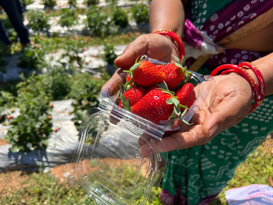 Organically grown Strawberry