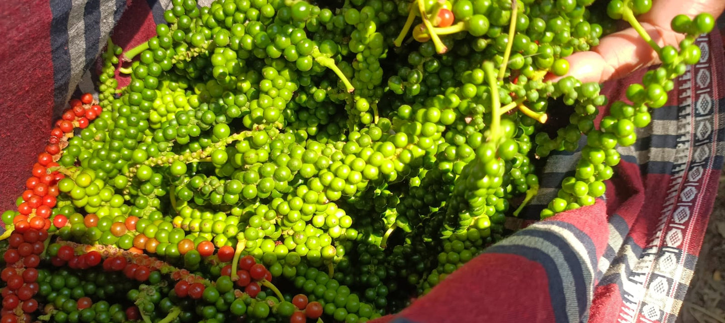 Organic Black Pepper